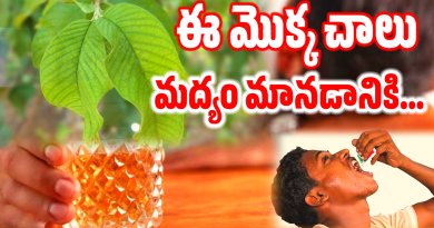 How To Stop Drinking Alcohol In Telugu - మద్యపానం ఆపడానికి ఈ ఒక్క మార్గం చాలు .