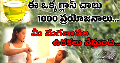 Atibala Plant Uses In Telugu - 1000 రోగాలను నయం చేసే శక్తి దీనికి ఉంది.