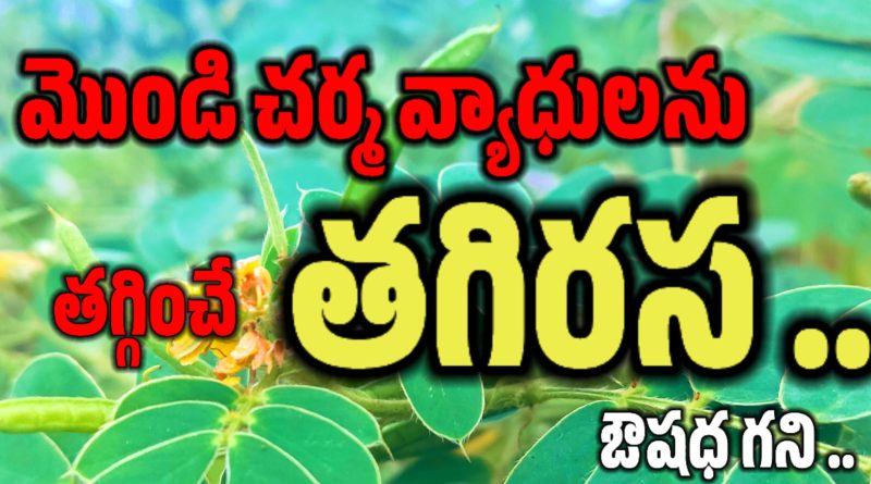 Skin Allergy - చర్మ సమస్యలు