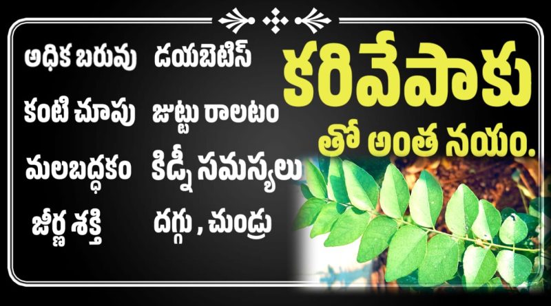 Karivepaku Benefits - కరివేపాకు ఉపయోగాలు