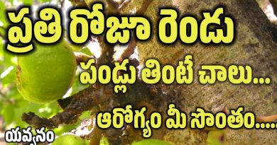 Anjira - అంజిర పండు