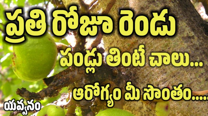 Anjira - అంజిర పండు