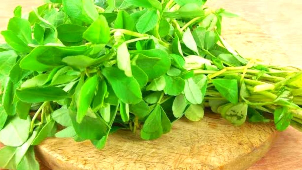 Fenugreek Leaves