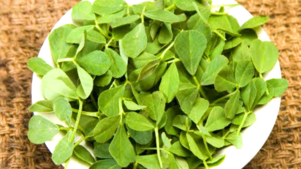 Fenugreek Leaves