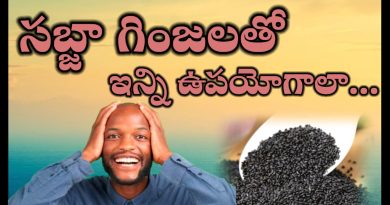 Sabja Seeds Benefits