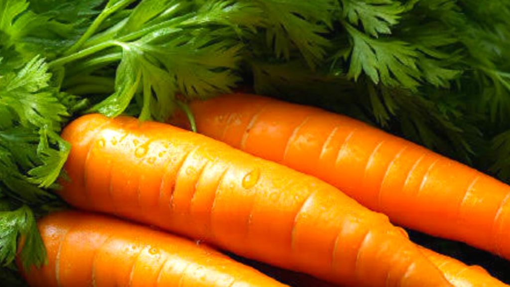 Carrot Juice Benefits