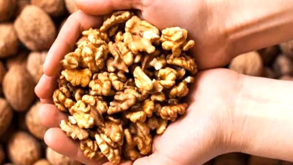 Walnuts In Telugu 