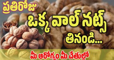 Walnuts In Telugu