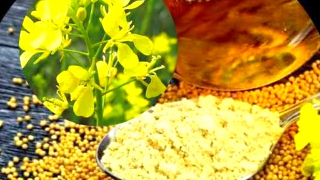 Mustard Leaves In Telugu