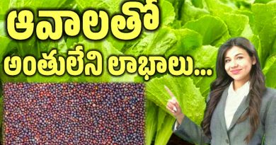 Mustard Leaves In Telugu