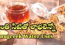 Fenugreek Water