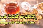 Fenugreek Water