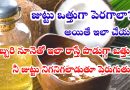 Hair Growth Tips In Telugu