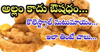 Belly Fat Lose Tips In Telugu