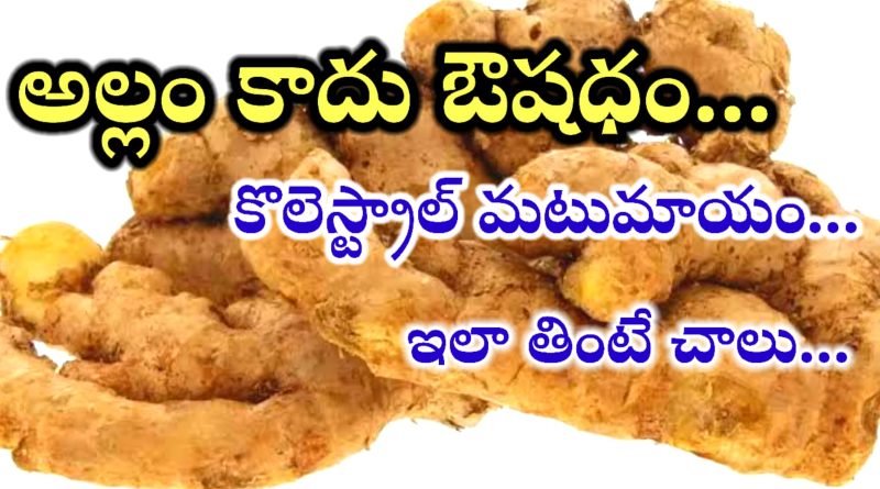 Belly Fat Lose Tips In Telugu