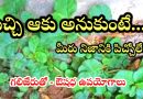 Health Tips Telugu