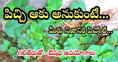 Health Tips Telugu