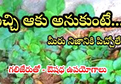 Health Tips Telugu