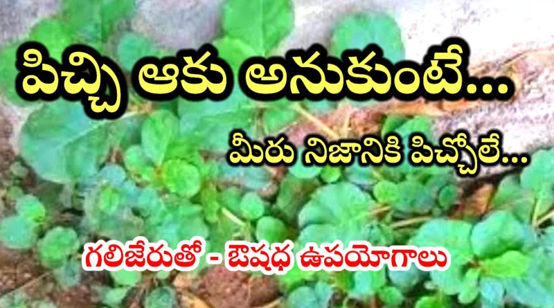 Health Tips Telugu