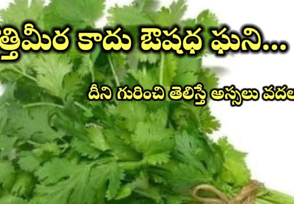 Coriander Benefits